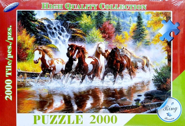 پازل 2000 تکه (Ring) جعبه ای کد 0352