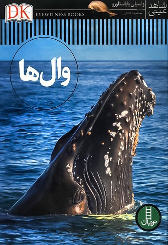 شاهد عینی/وال ها (نردبان) رحلی سلفون
