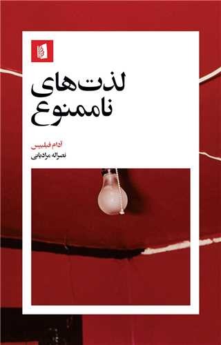 لذت های ناممنوع (بیدگل) رقعی شومیز