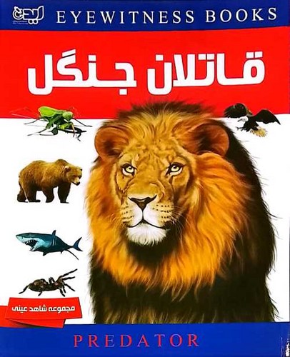 شاهد عینی/قاتلان جنگل (ایده پردازان) رحلی شومیز